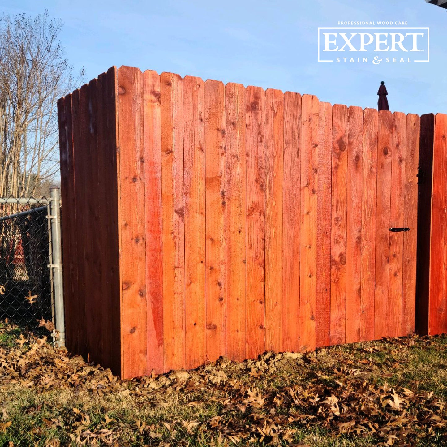 EXPERT Stain & Seal | Transparent Fence, Deck, and Wood Stain & Sealer