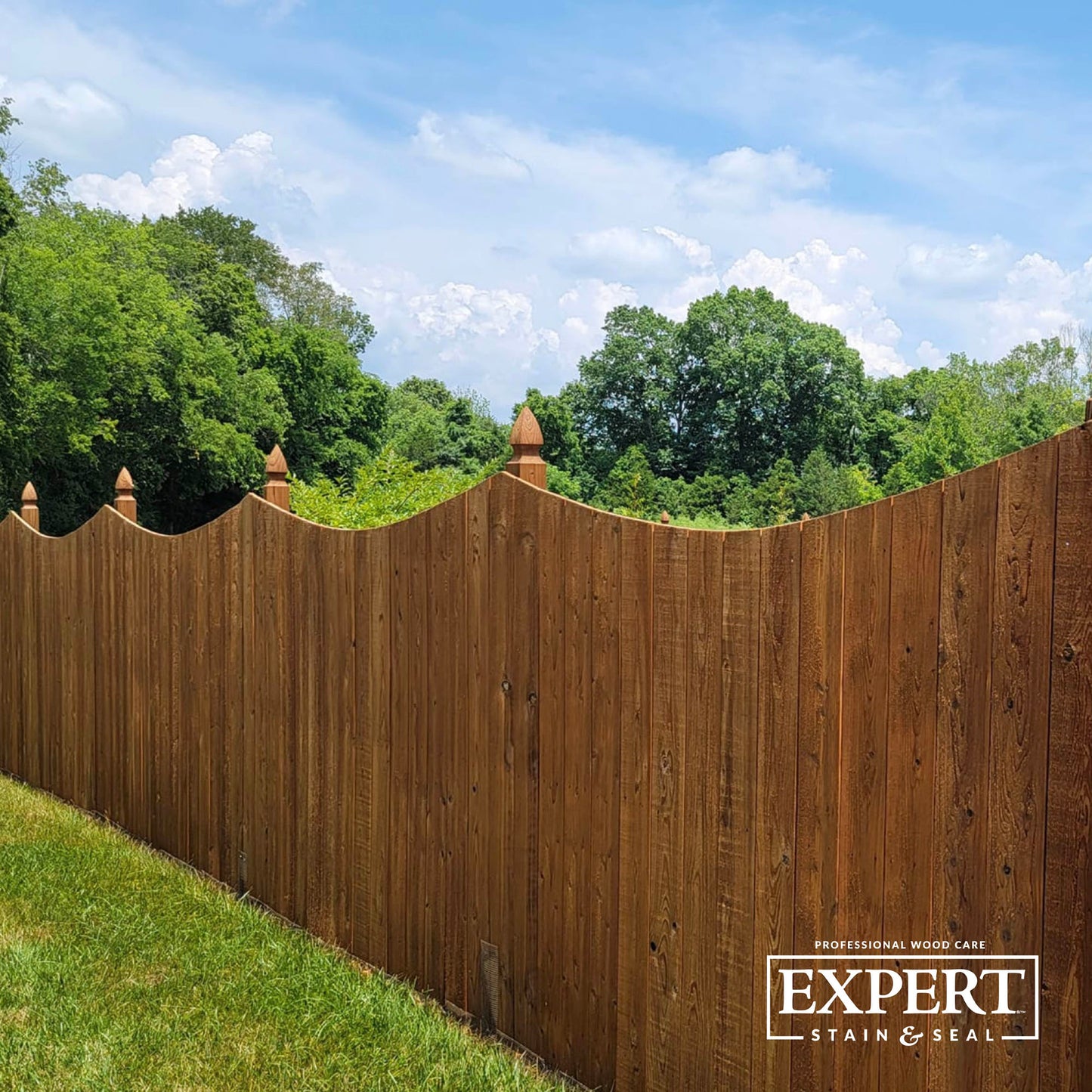 EXPERT Stain & Seal | Transparent Fence, Deck, and Wood Stain & Sealer